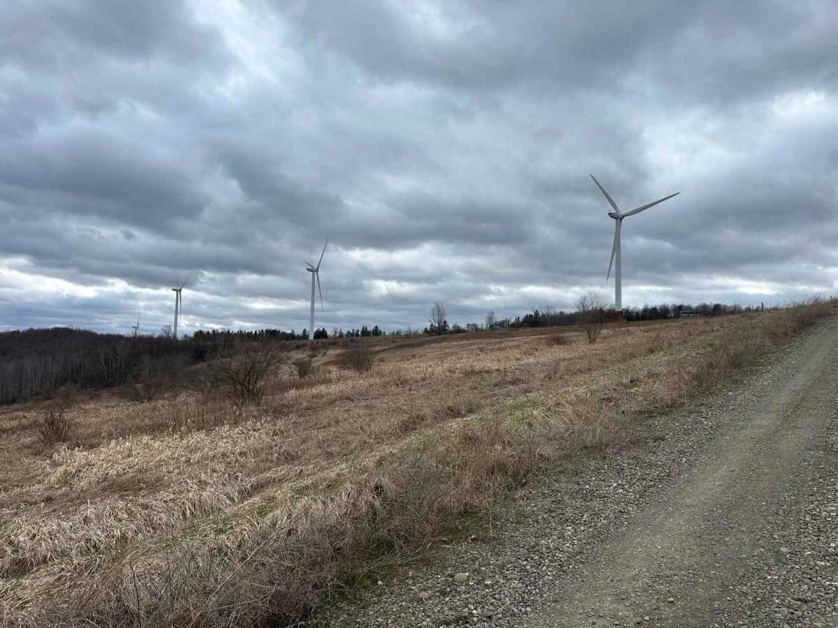 Spencer Hill Road photo 3