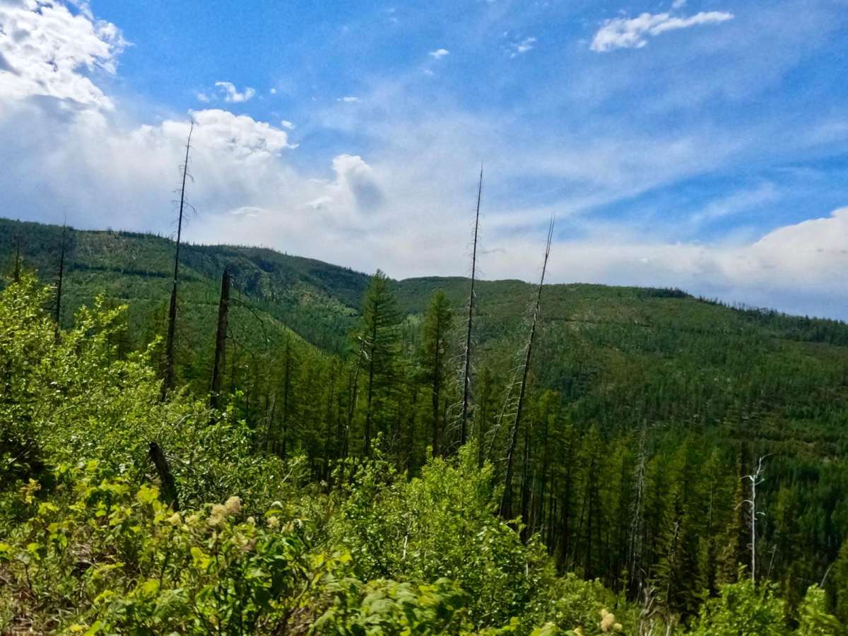 W. Nine Mile Rd (5520)-First Cr Rd (5475) photo 5