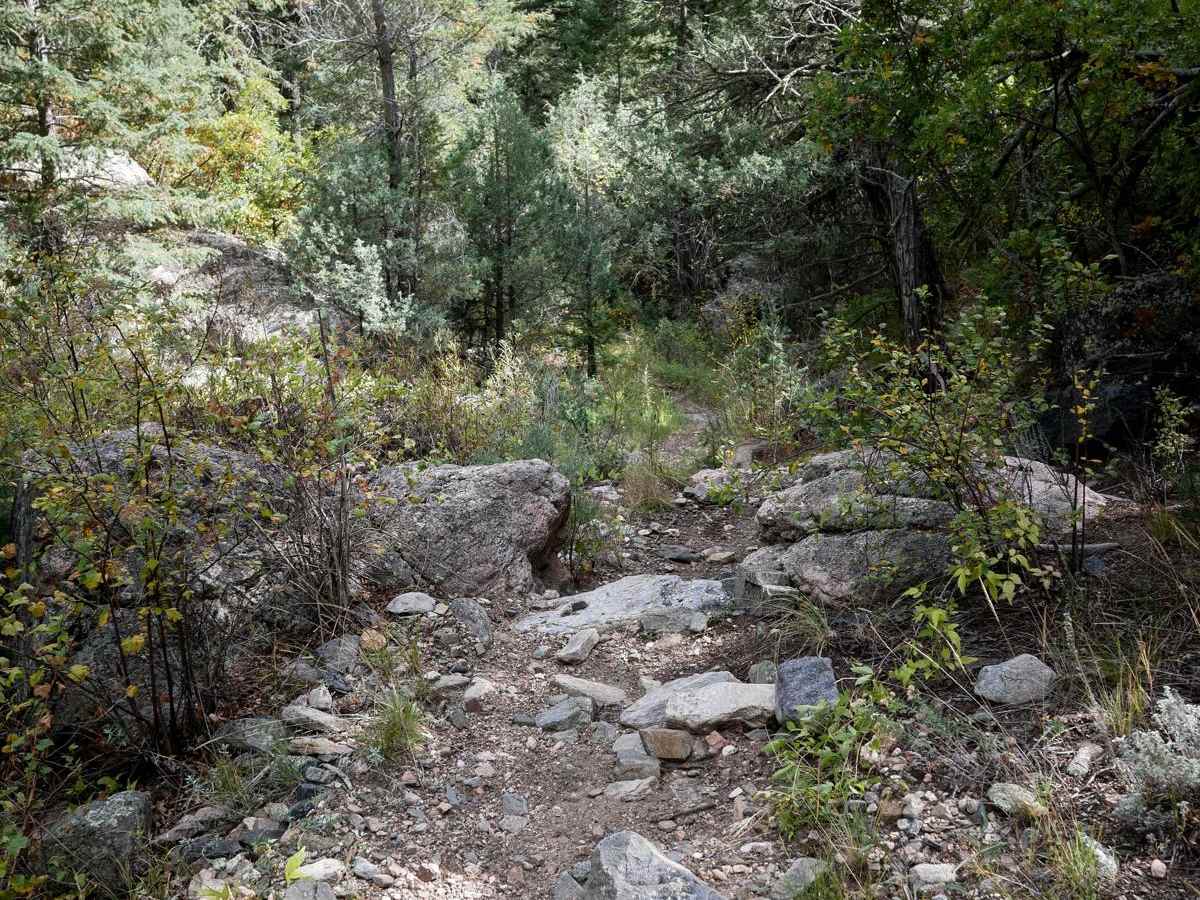 Bull Gulch Single Track - 6062 photo 2