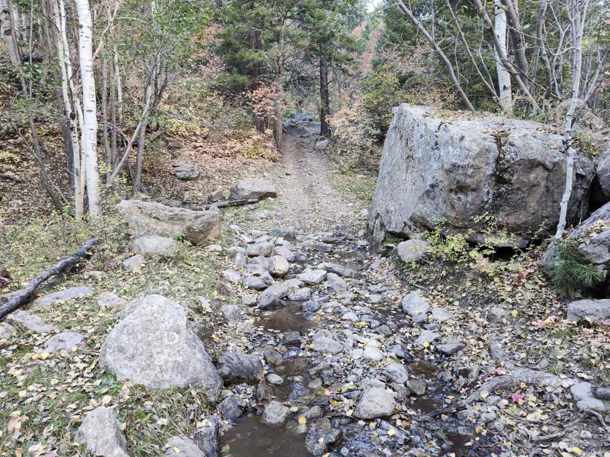 Camp Jackson Trail photo 5