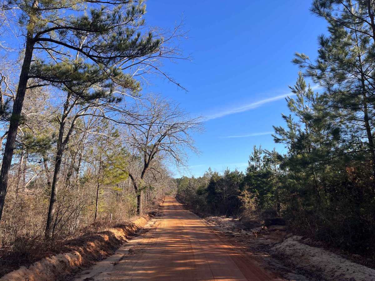 Fox Pond Road photo 3