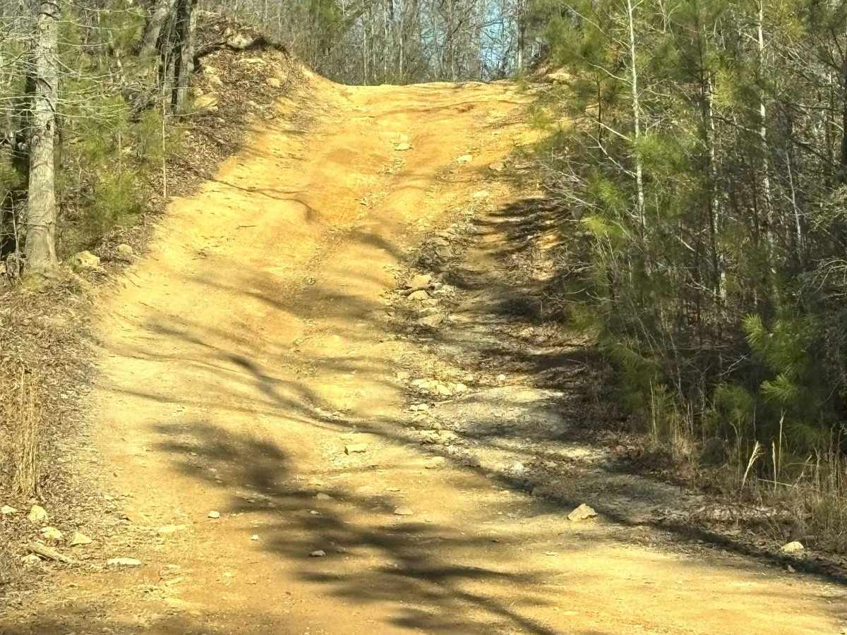 Creek Trail photo 5
