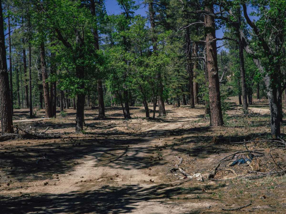 Hyde Mountain Lo photo 5