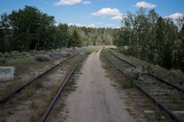 Homestake