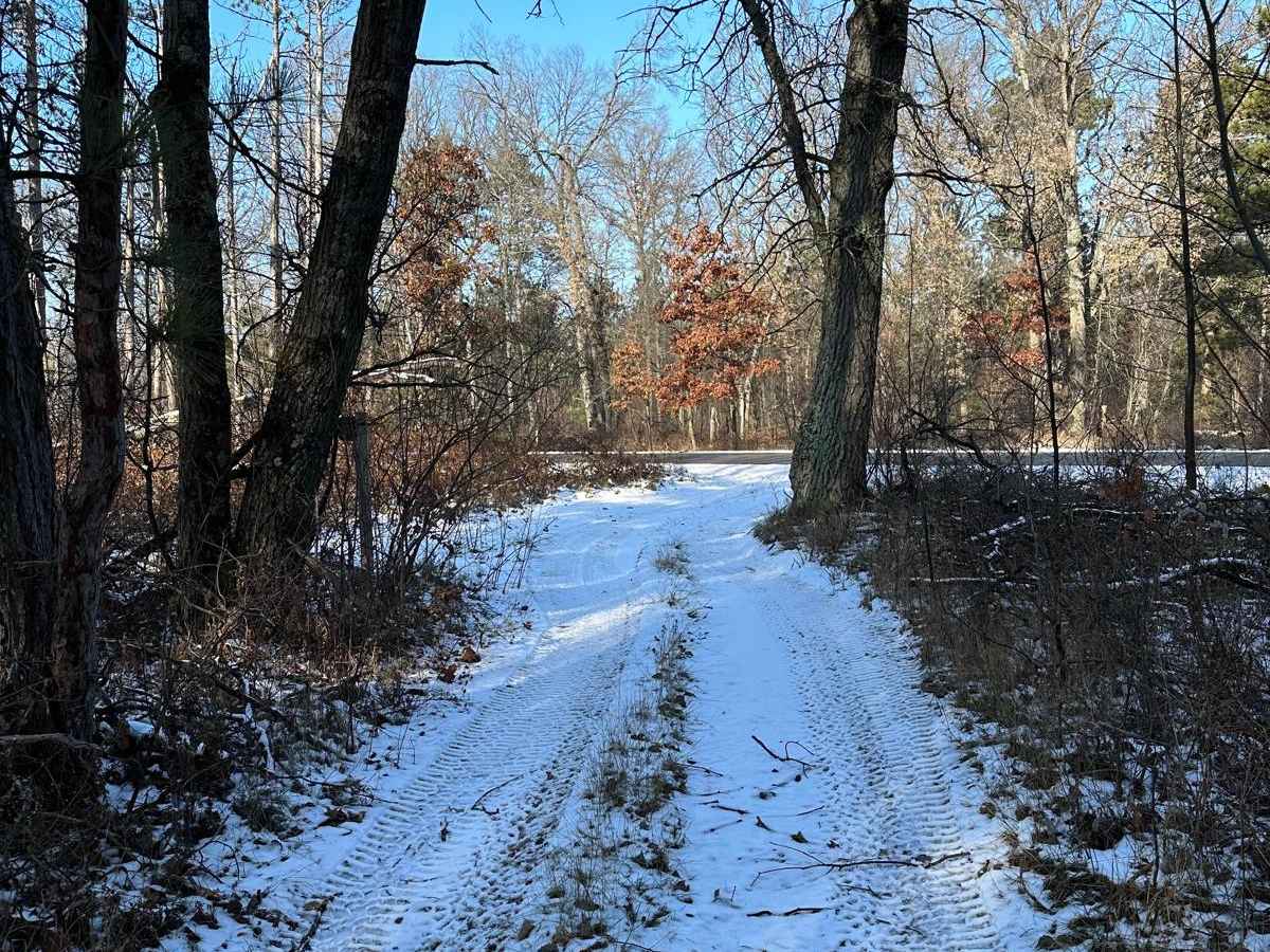 FS 4513 trail photo