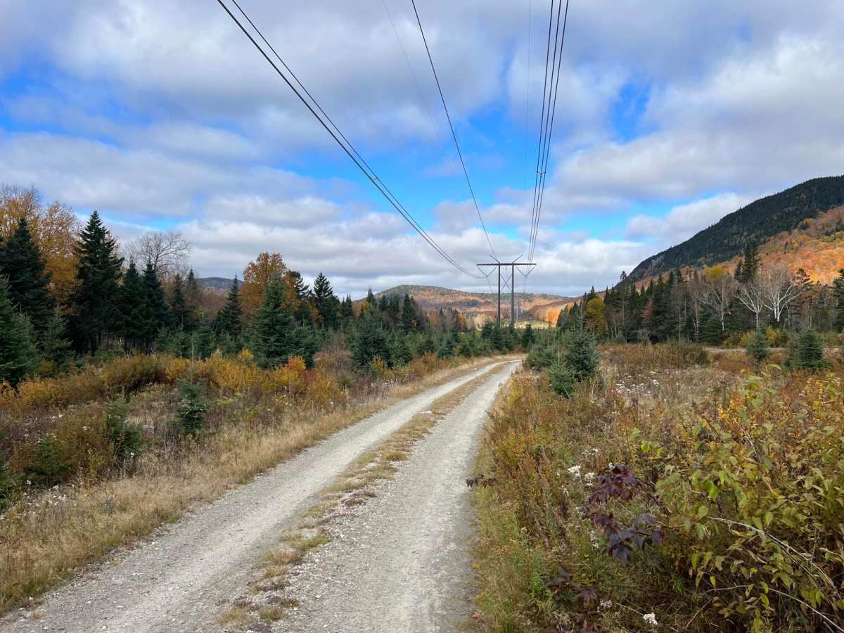 Gaudett Road to Black mountain photo 2