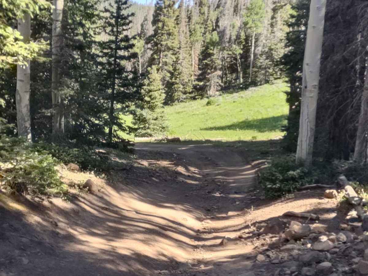 Big Flat Long Flat (FS 40581/Paiute D-3/Trail 1A) photo 6