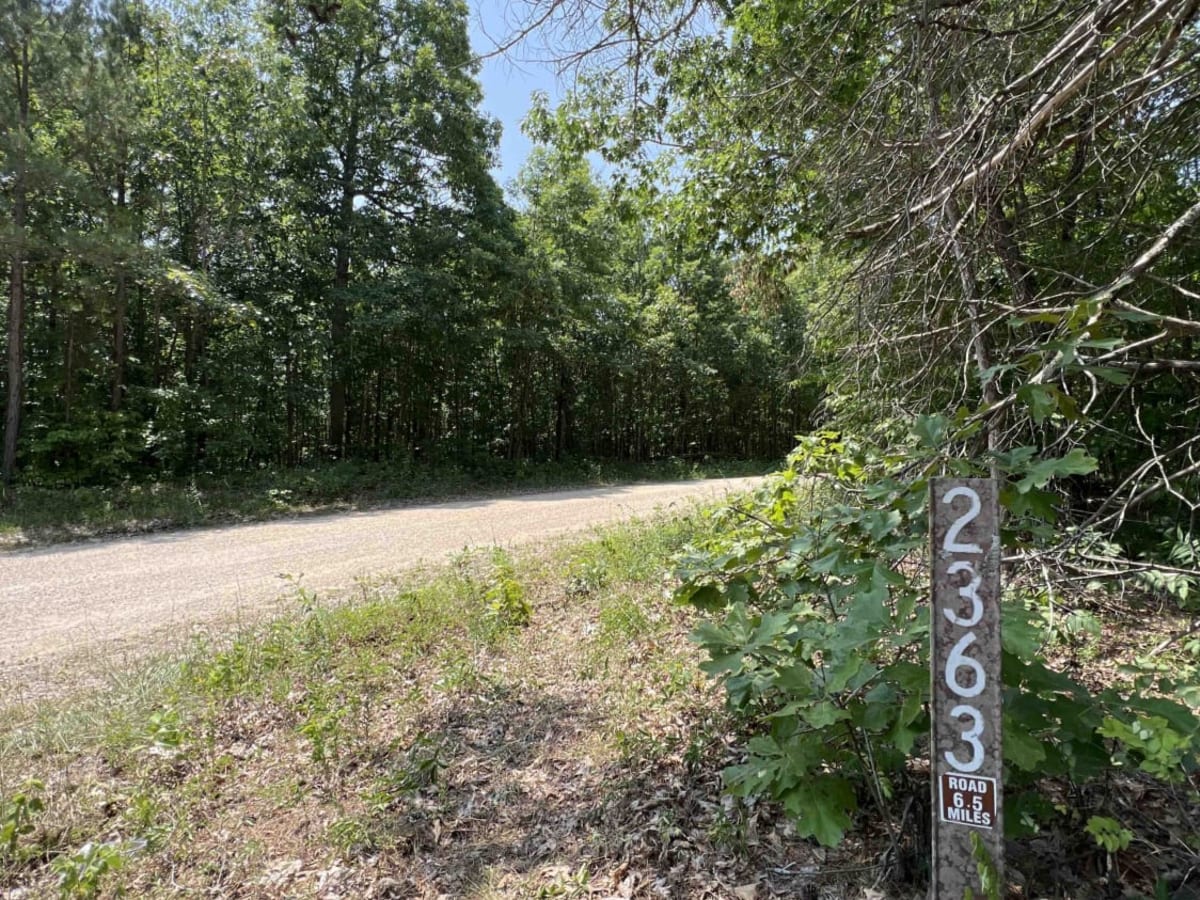 Peter Cave Hollow 2363 photo 2