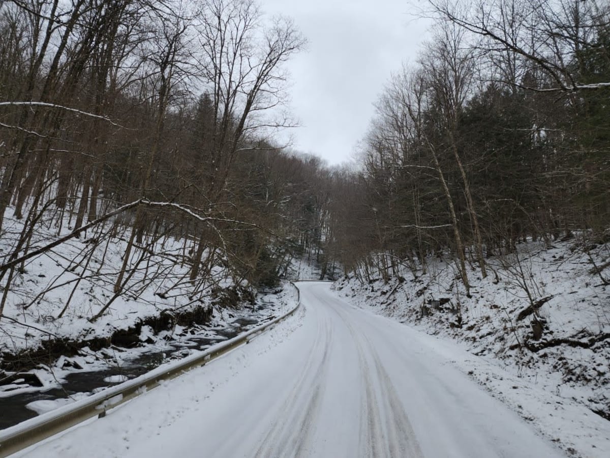 Buck's Brook Track photo 5