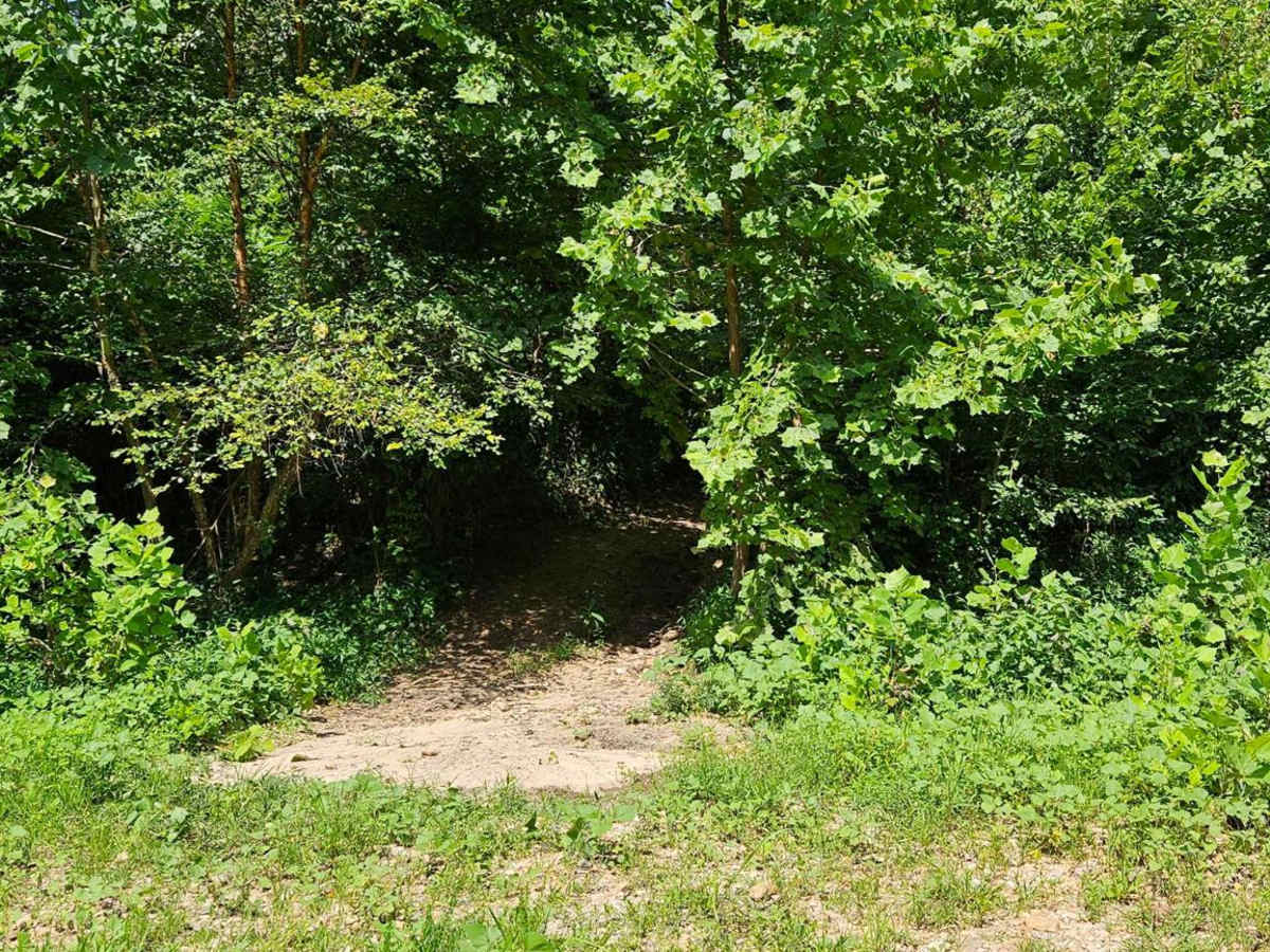 Boom Hole Access - FSR 3155B photo 4