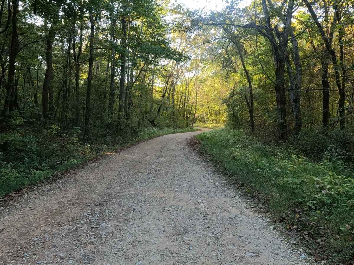 Redd Hollow Road - FS 171 photo 4