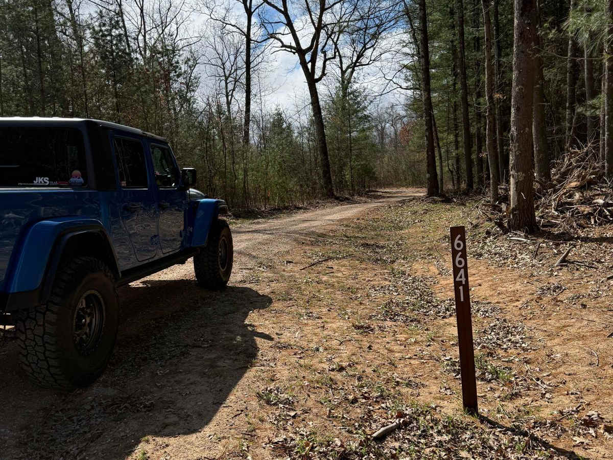 NFS 6641/6041 (LP 320-3) trail photo
