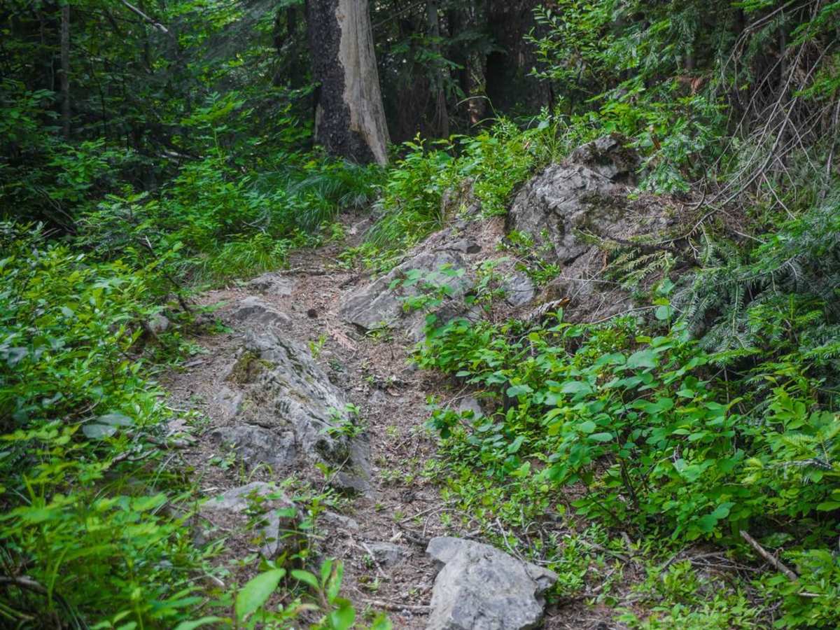 Mozier Peak photo 6