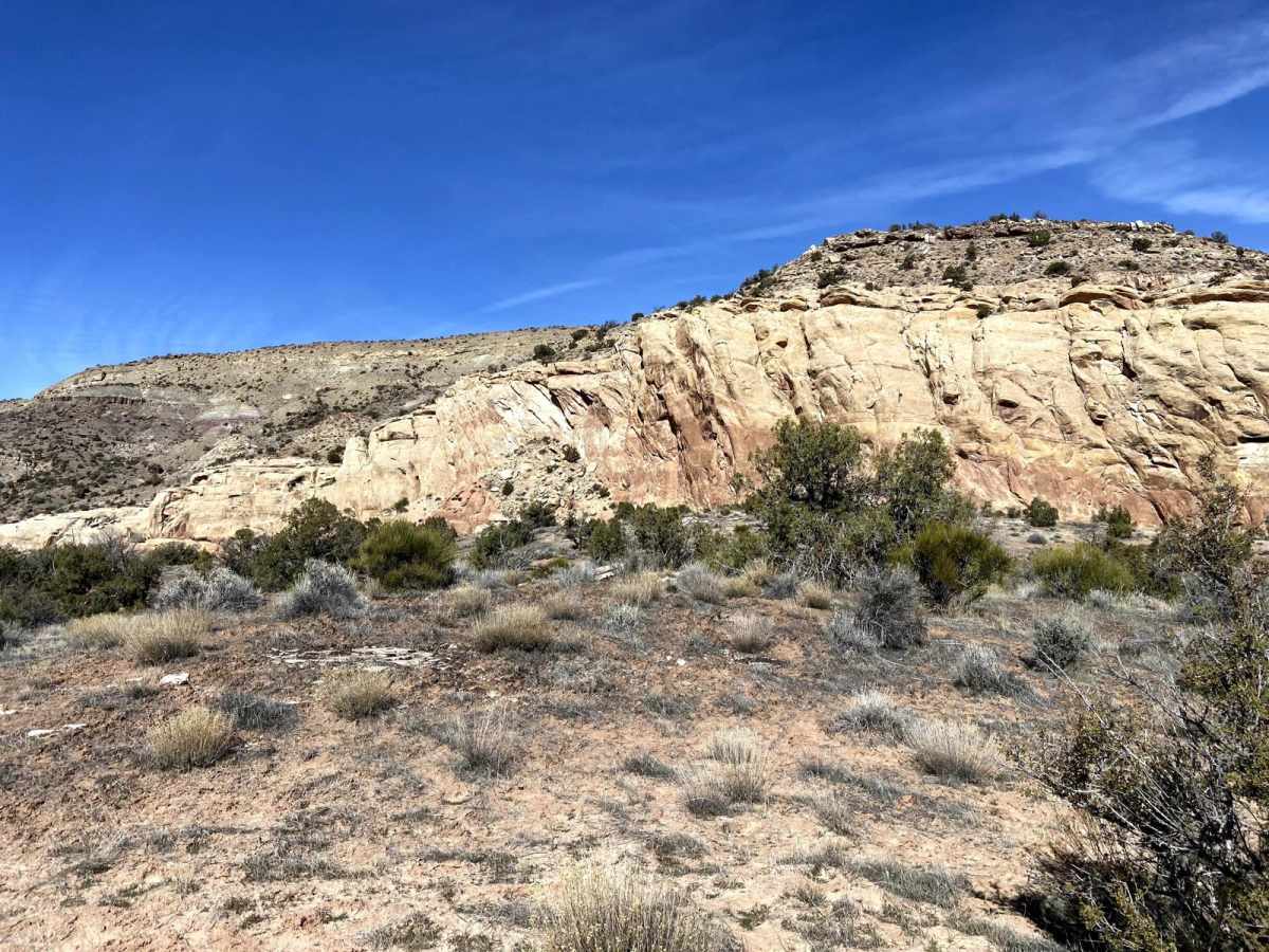 Trail 2 photo 6