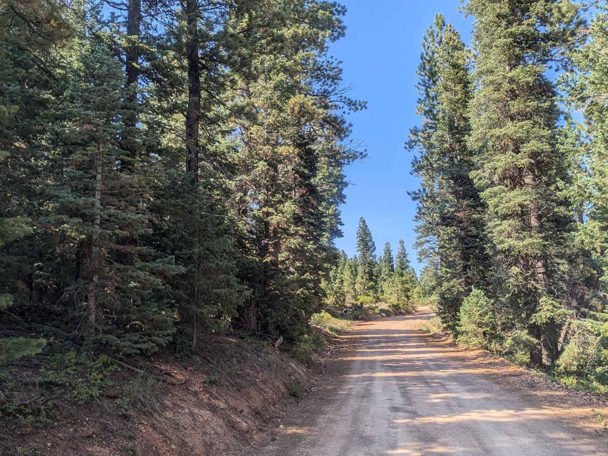 Stout Canyon Road photo 2