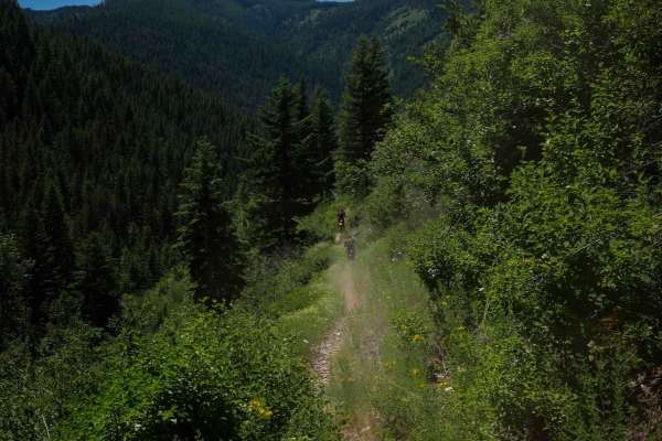 Telichpah Creek NRT