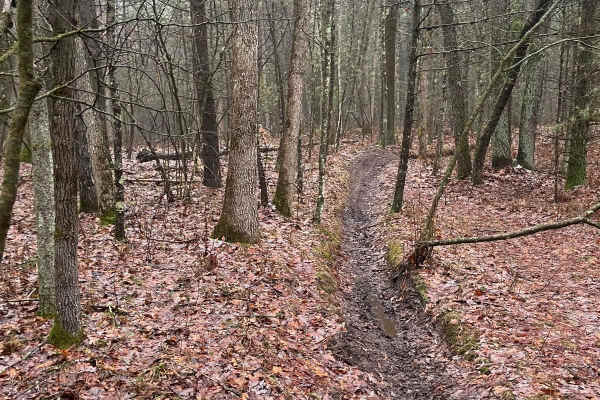 Horseshoe Motorcycle Trail Part 1