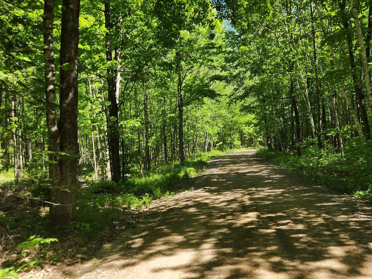 Roberts Lake - FS 2144 photo 2