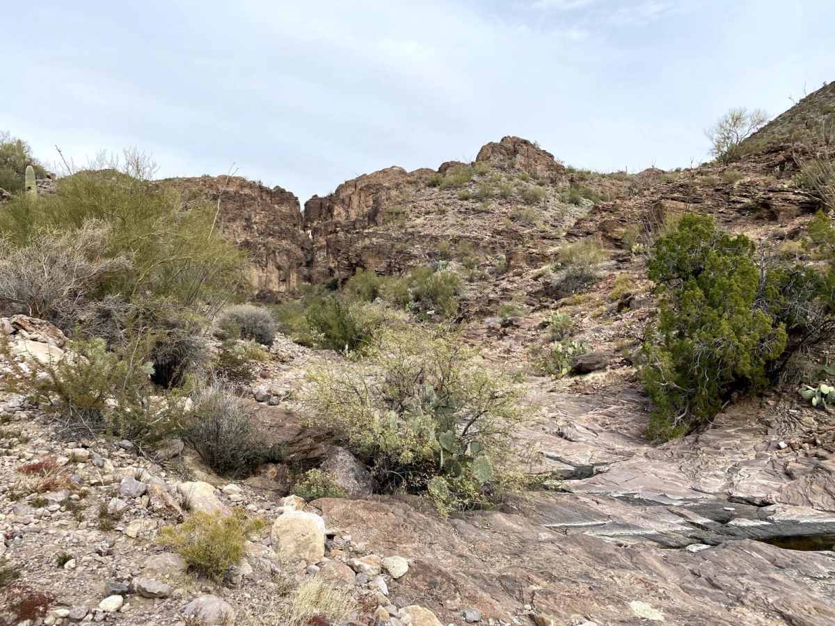 Powerline Loop Trail photo 3