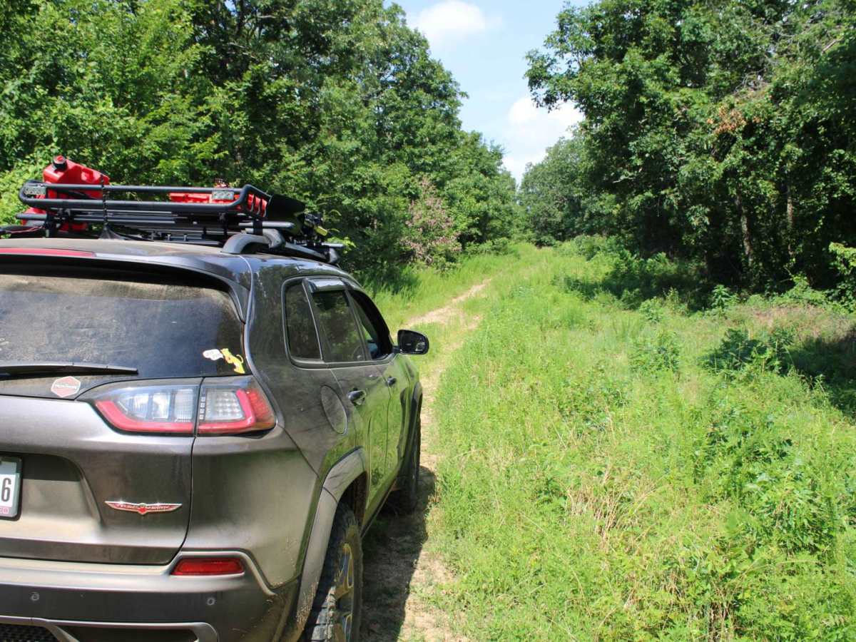 Dutch Creek Mountain Road - Nature Takes Over photo 5