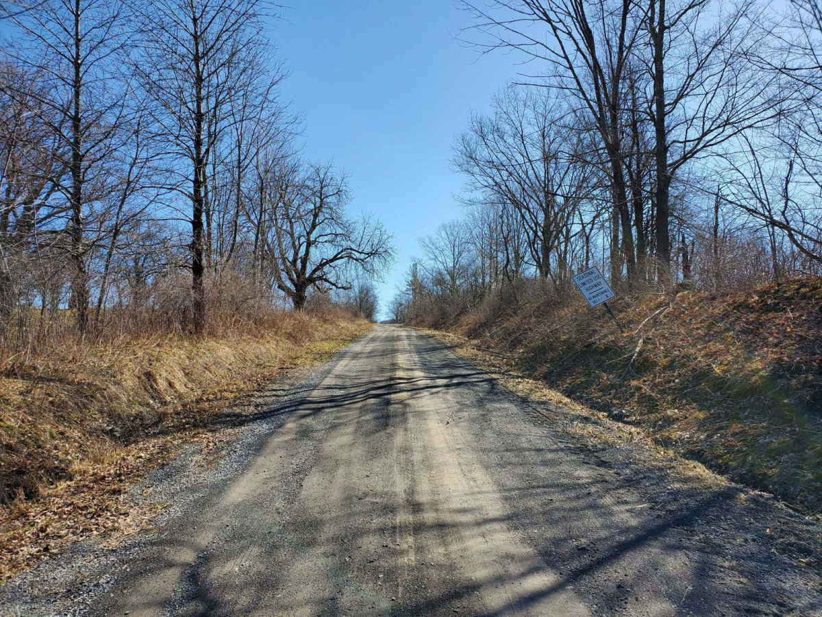 Wilkens Townsend Road trail photo