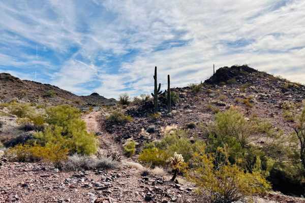 Rocks, Mines, and Cactus
