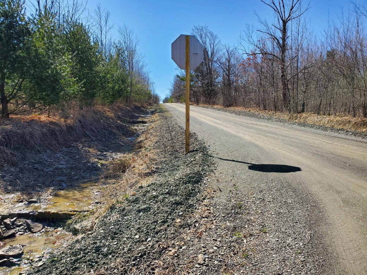 Potomac Road photo 6