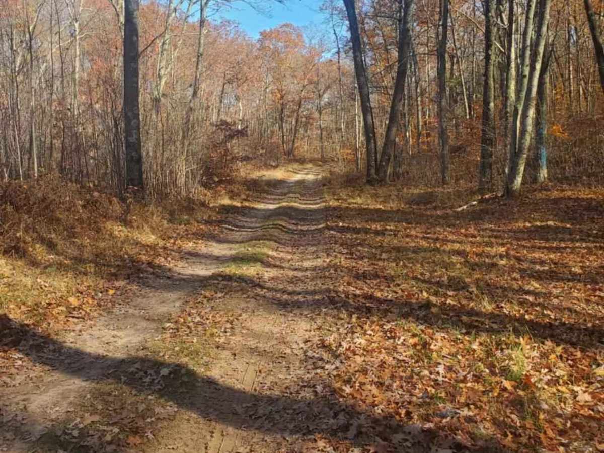 Trail 5578 photo 6