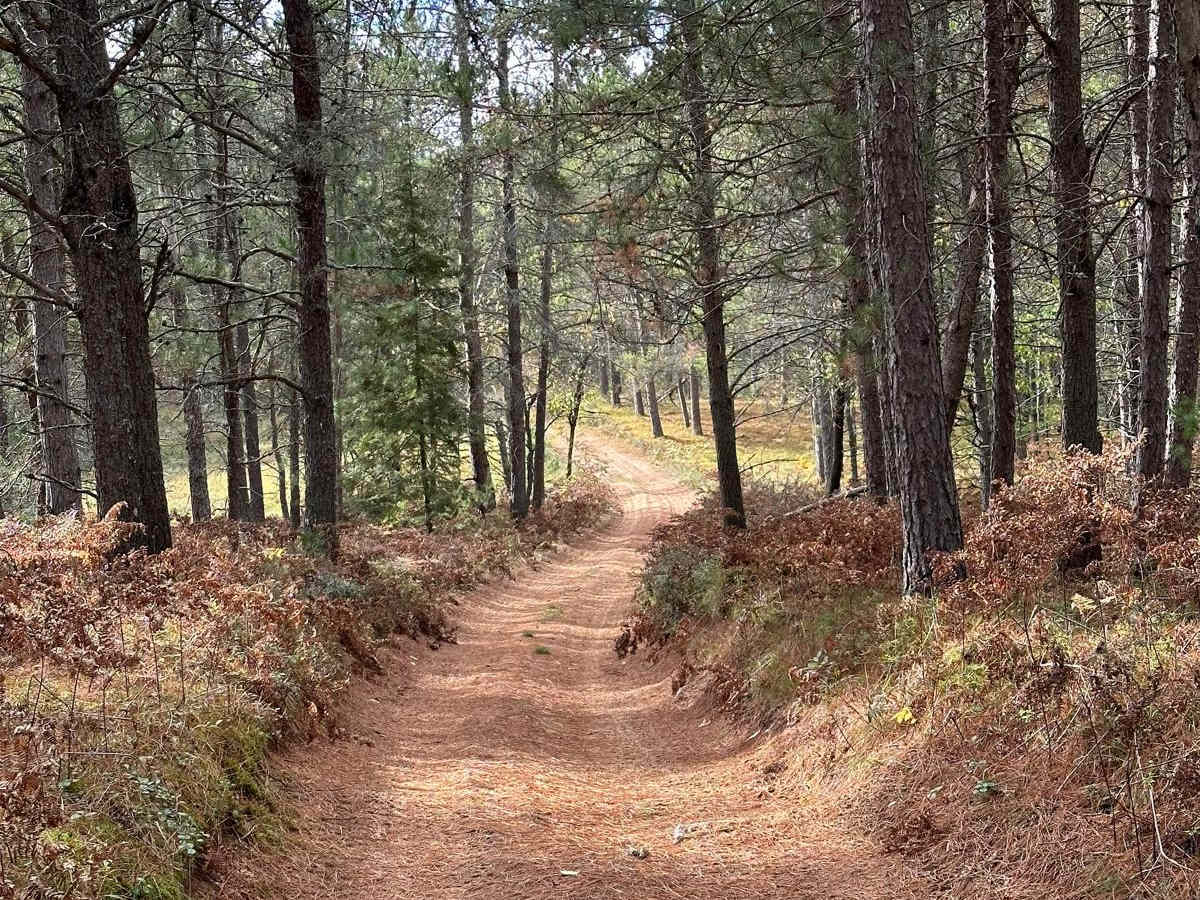 FS 2688 trail photo