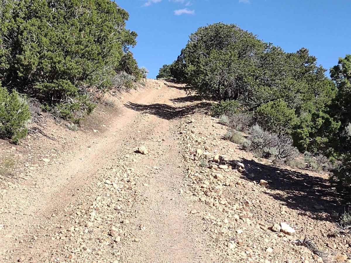 County Road 1345 photo 3