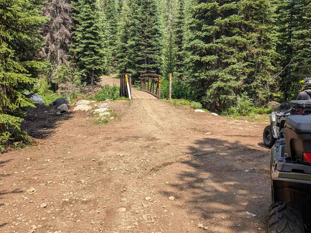 Forest Service Road 50329 (FSR 329/Willow Creek Road photo 3