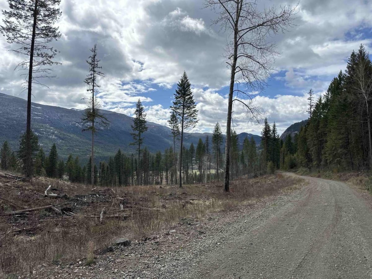 State Creek FSR trail photo