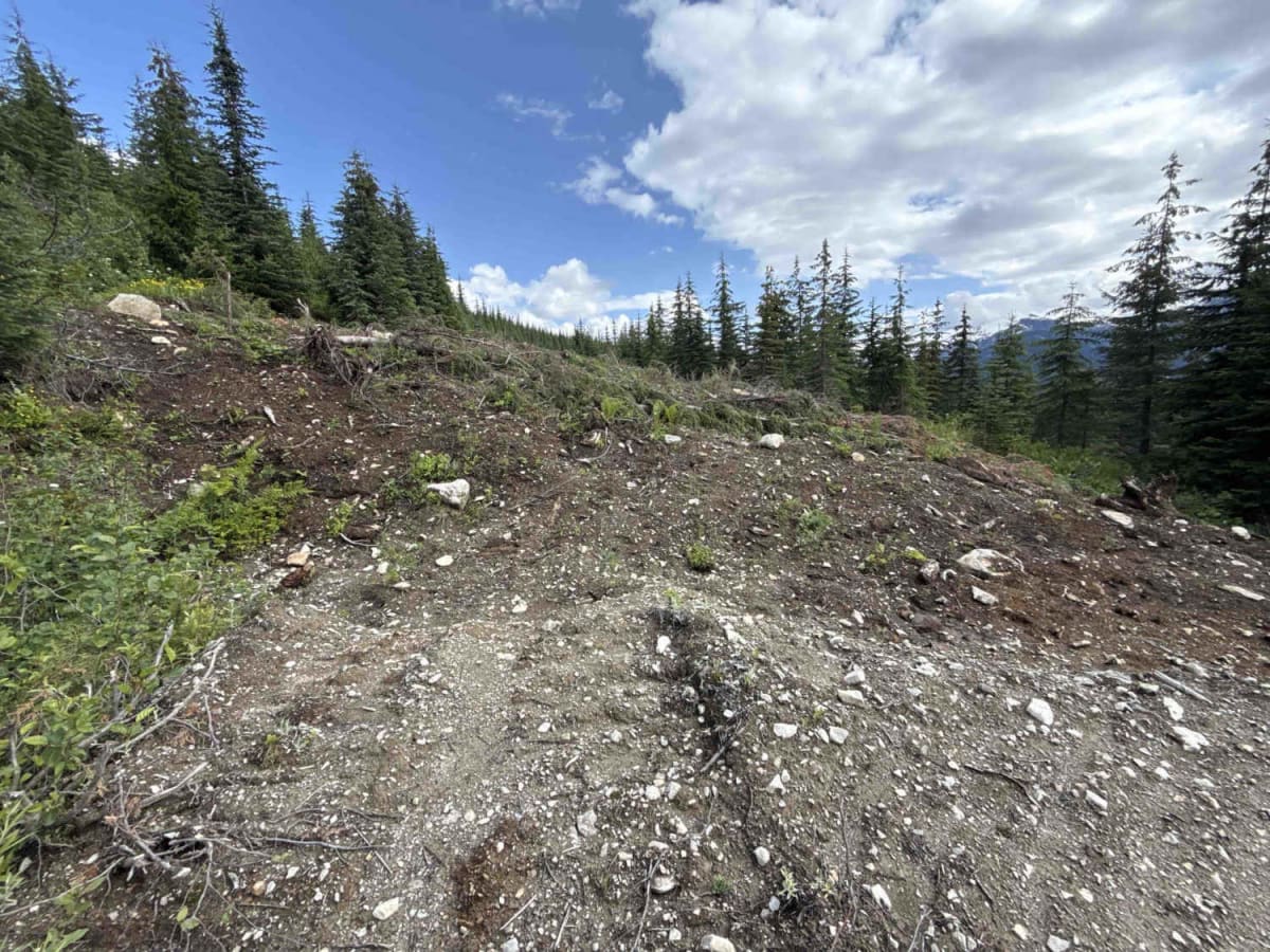 North Fork Spur photo 6