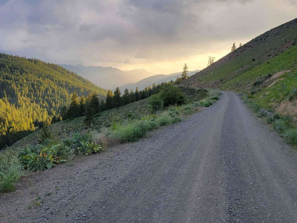 NF 4410 - Thompson Road photo 5