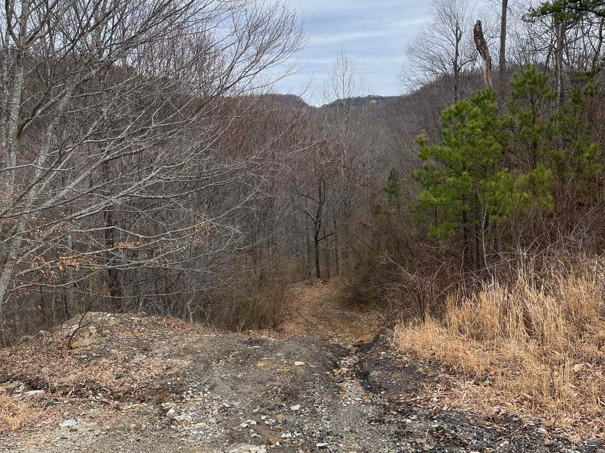 Trail 31 photo 4