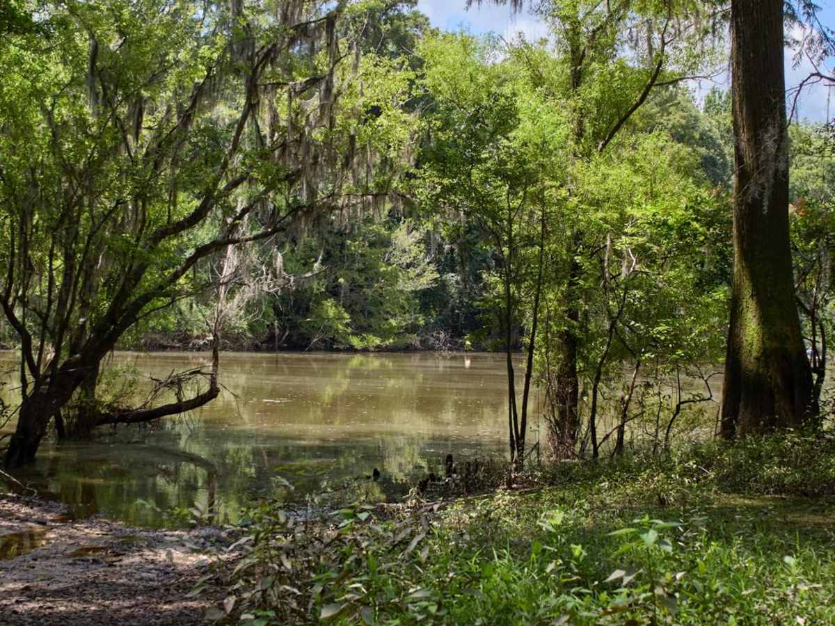 Jordan Lake Access trail photo