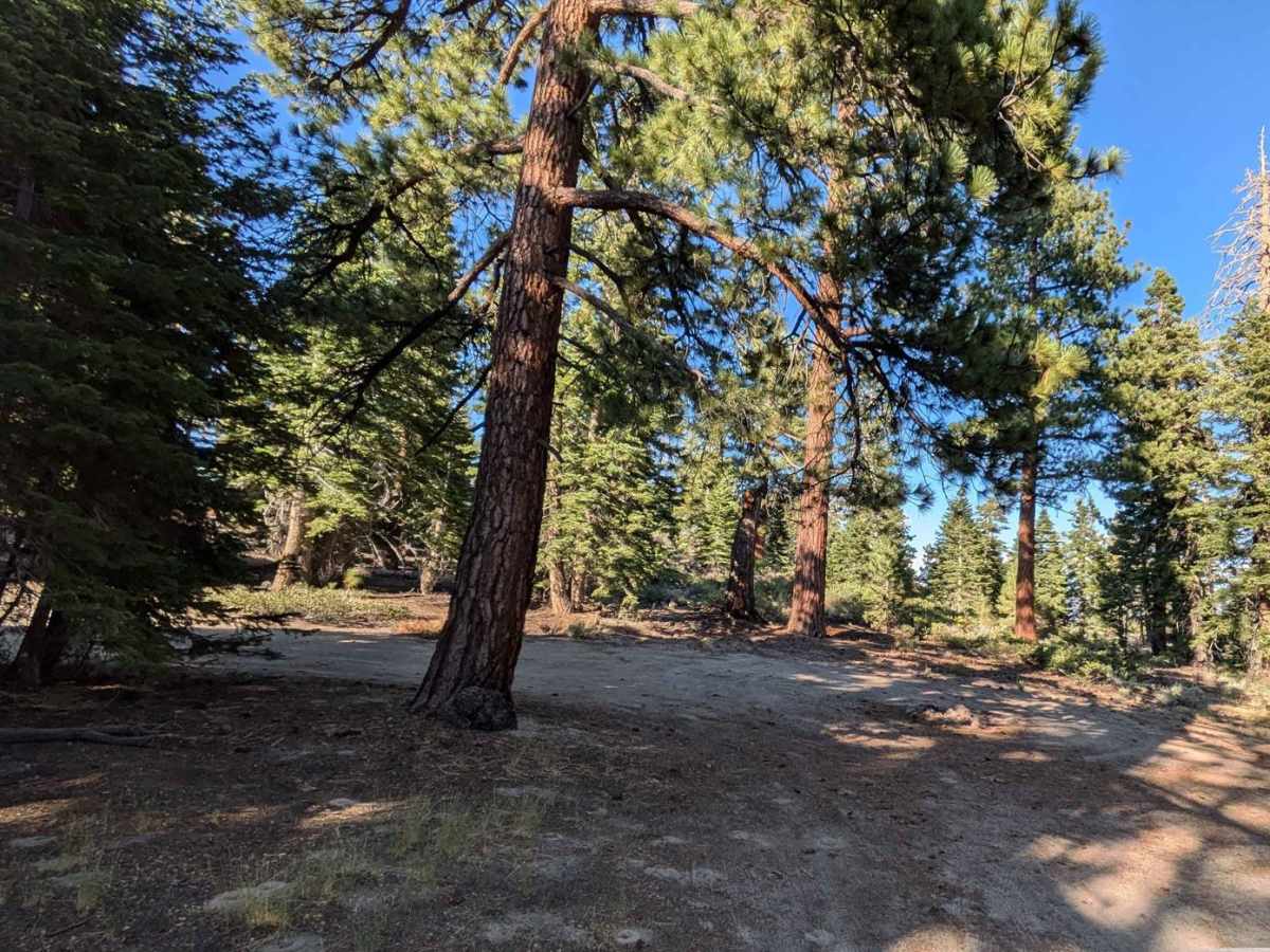 3S37A trail photo
