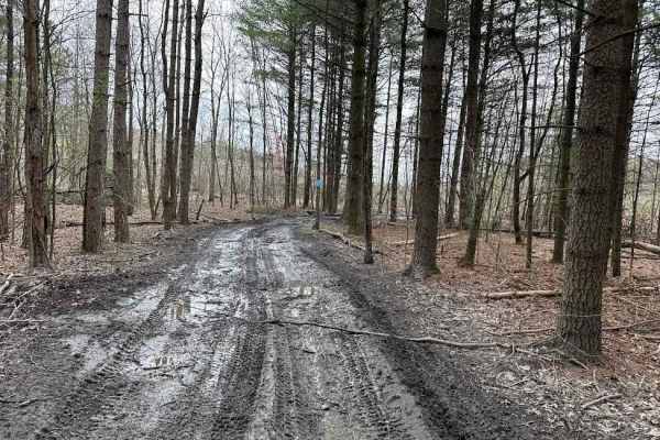 Minersville Short Cut