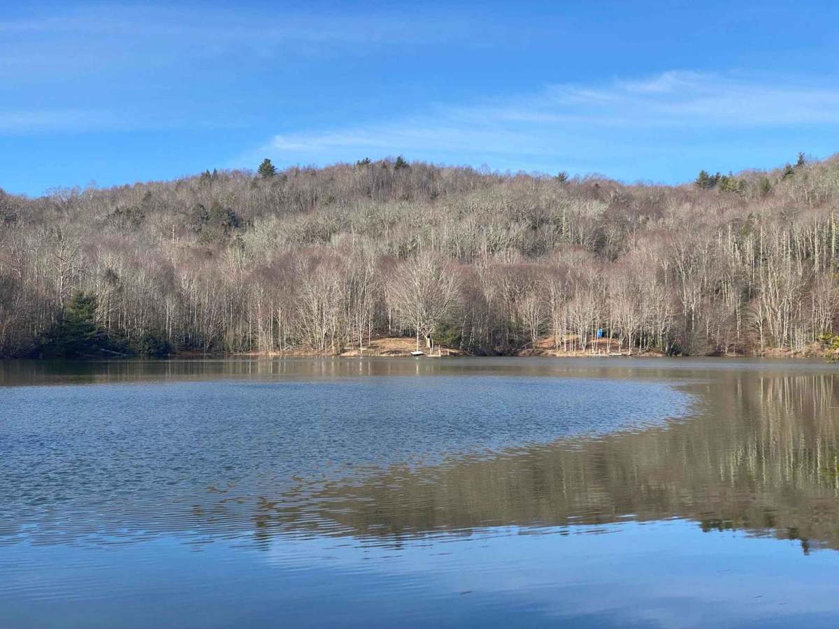Clarketown Cruise trail photo