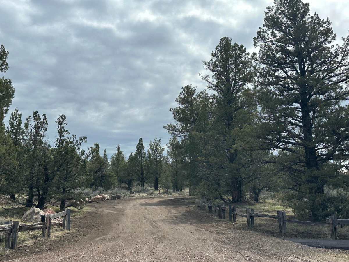 Buckhorn Loop photo 6