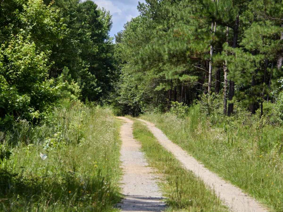 Jordan Lake Access photo 2