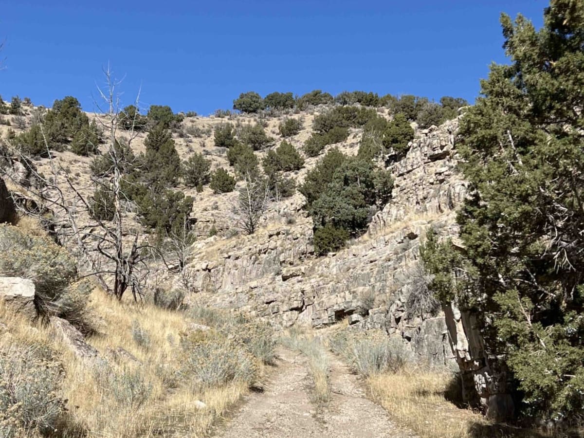 Quincy Spring Canyon photo 3