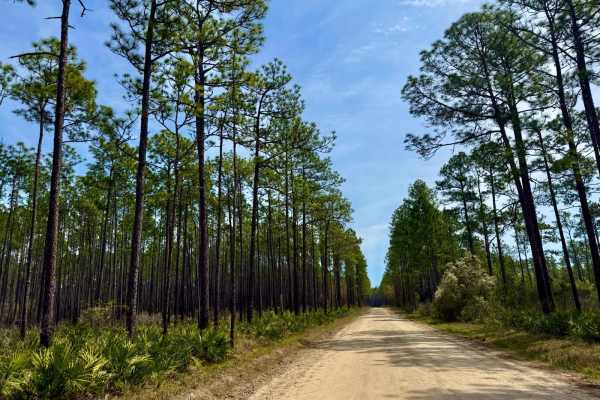 Whitehead Lake Road 186-C