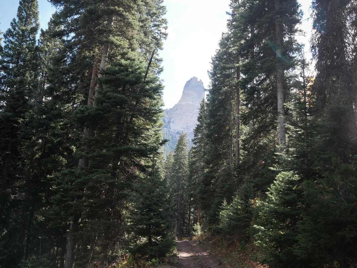 Stealey Mountain Spur ATV photo 4