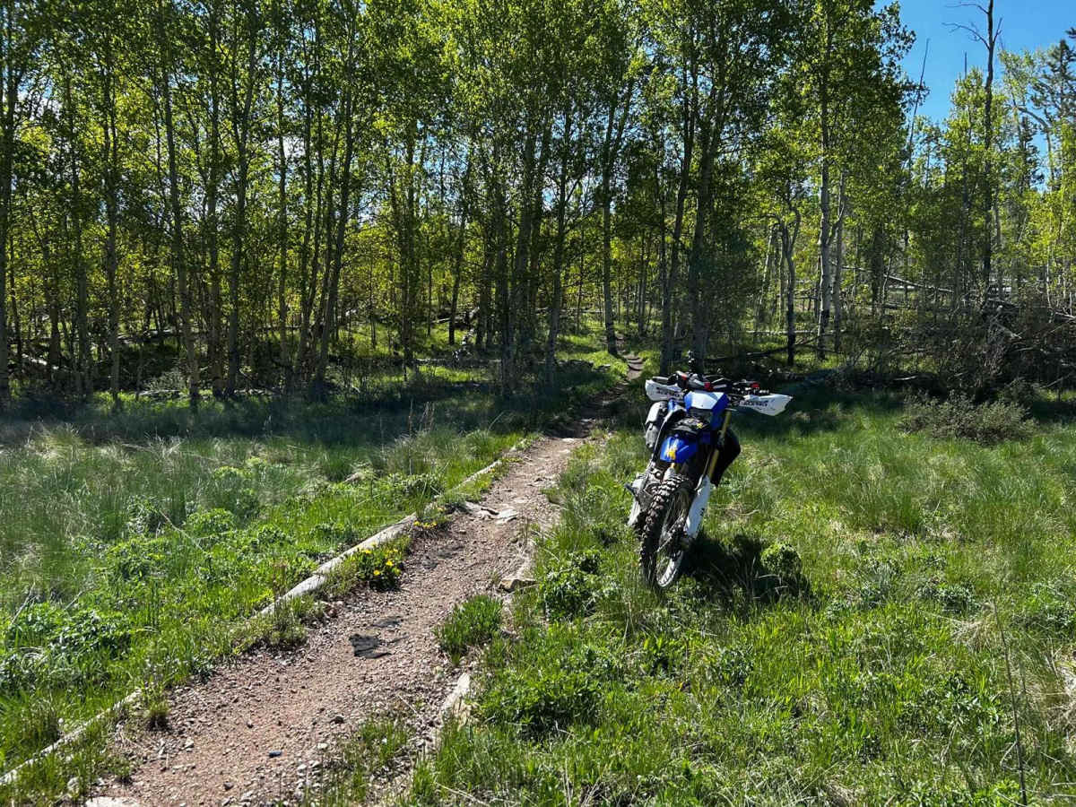 Snyder Creek Loop North Central photo 4