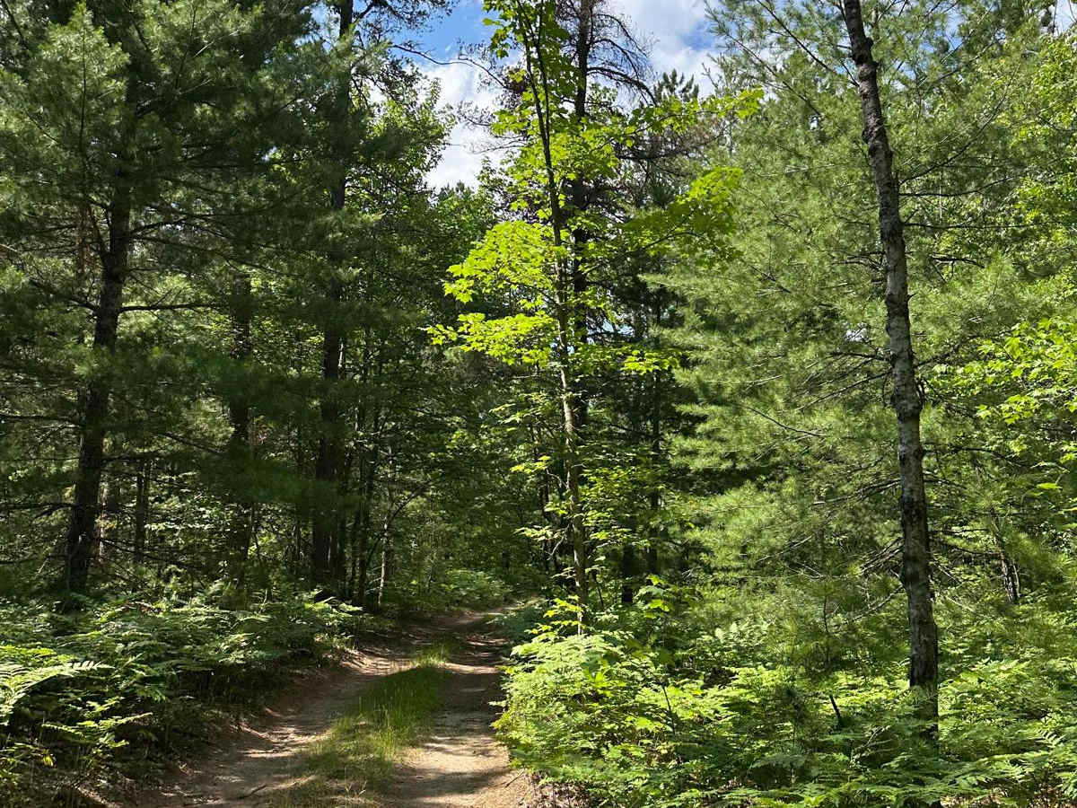 County Road 421 North Spur  photo 6