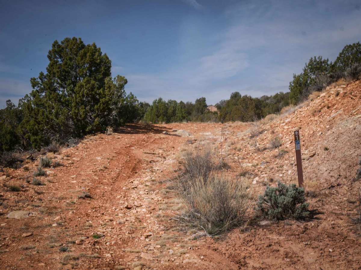 Trail 1 photo 4
