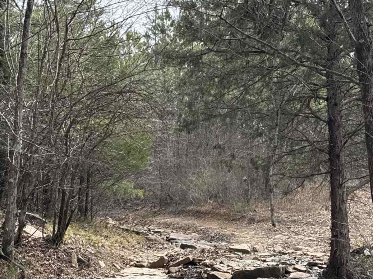 #7 Diamondback - Beginning Section photo 6