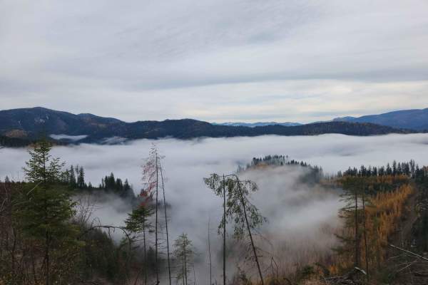 Montgomery-Moon Ridge