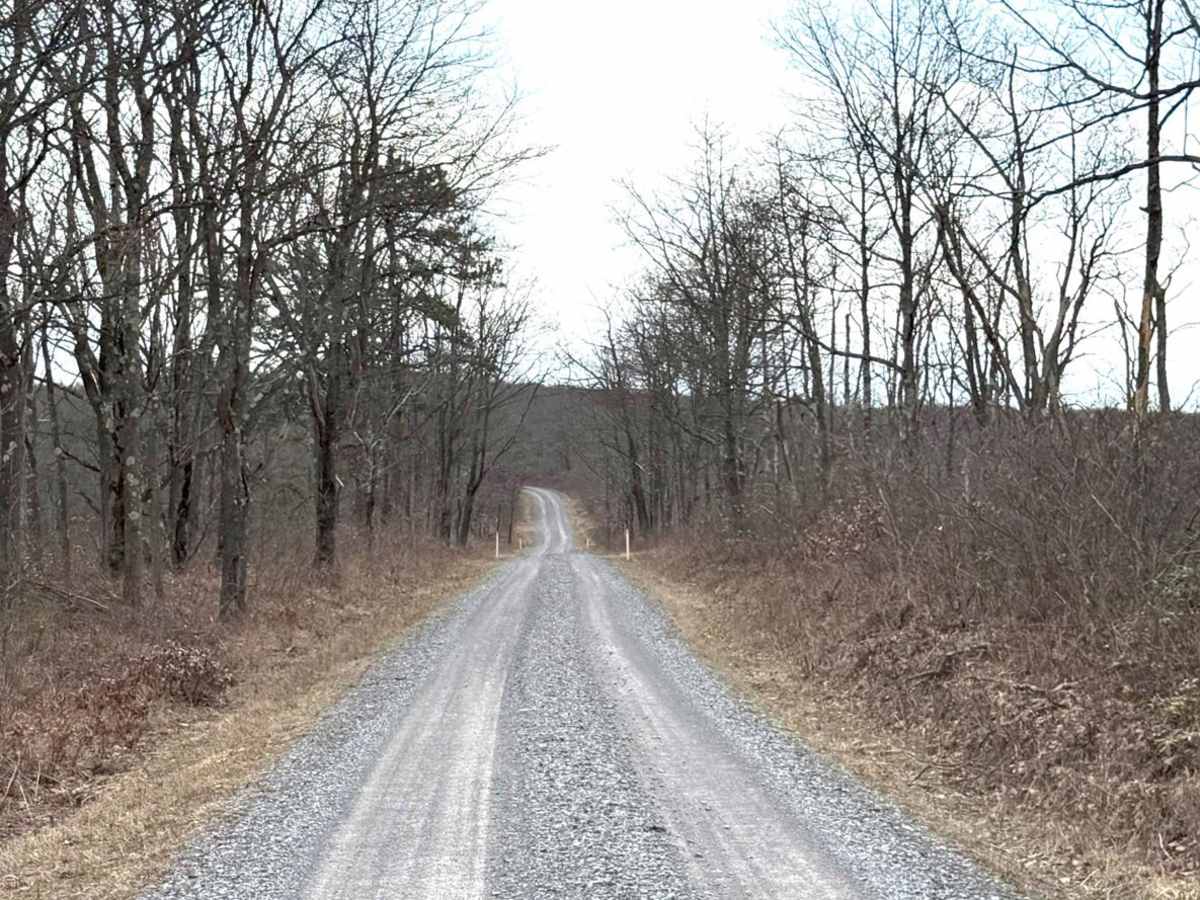 Allen Dam Road photo 3